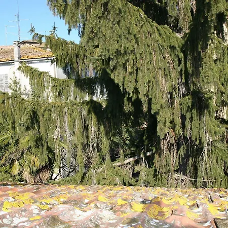 La Coperta Ricamata Frühstückspension Siena